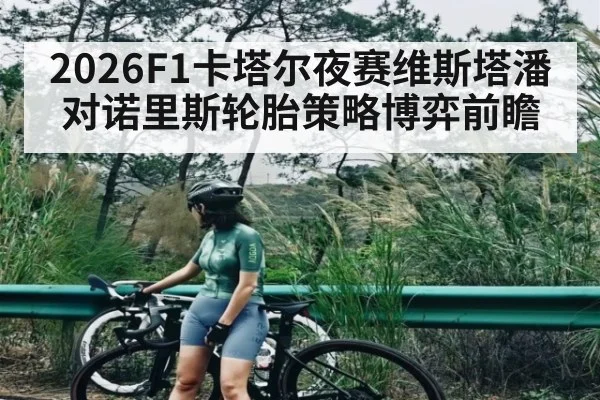 2026F1卡塔尔夜赛维斯塔潘对诺里斯轮胎策略博弈前瞻